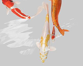 《刺客信条：影》将不会登陆上世代Xbox One和PS4主机